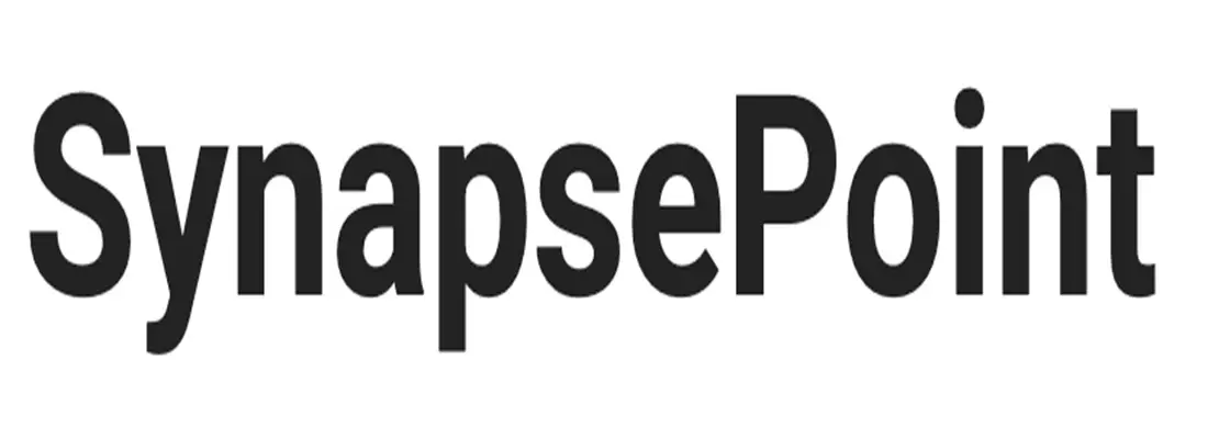 Обзор - SynapsePoint