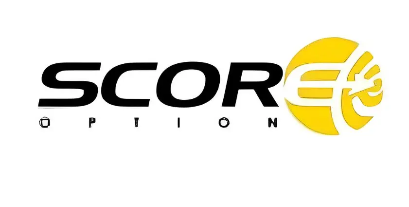Обзор - ScoreOption