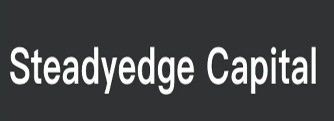 Обзор - Steadyedge Capital