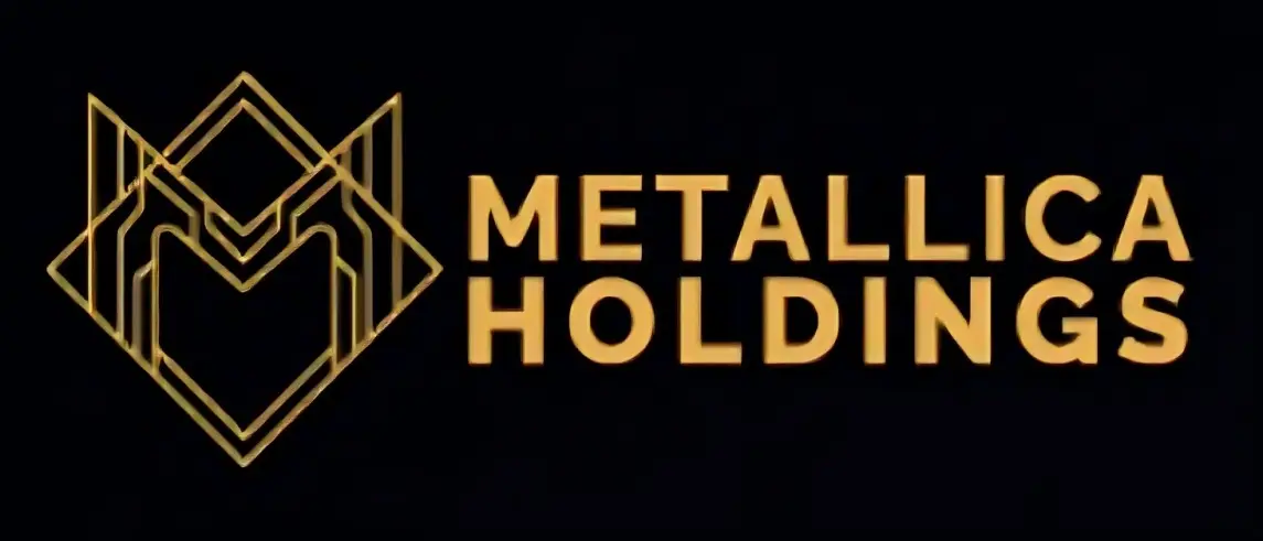Обзор - Metallica Holdings