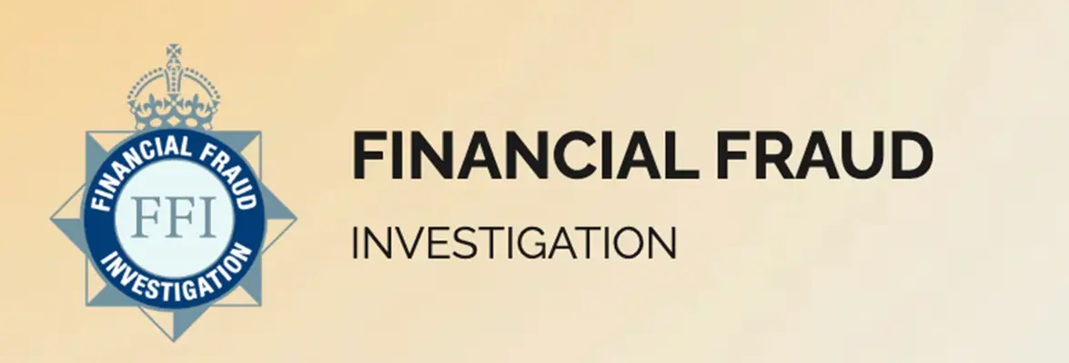 Обзор - Financial Fraud Investigation