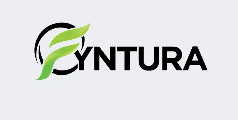 Обзор - Fyntura