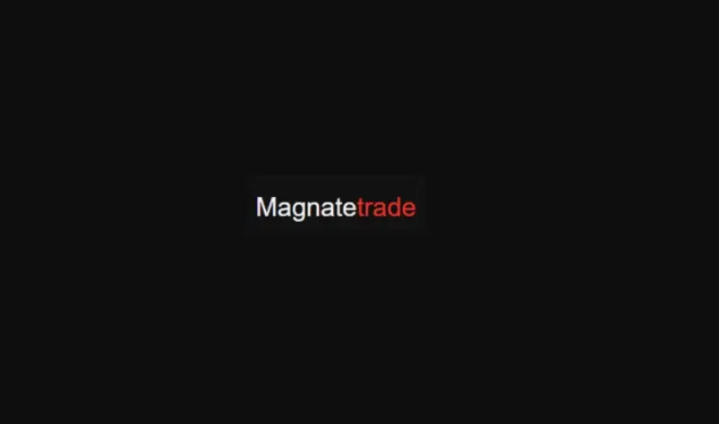 Обзор - Magnatetrade