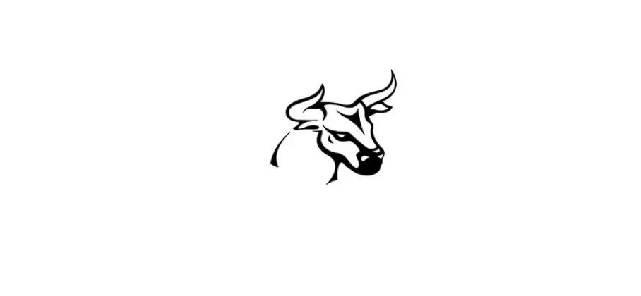 Обзор - Pullsbit (pullsbit.com)