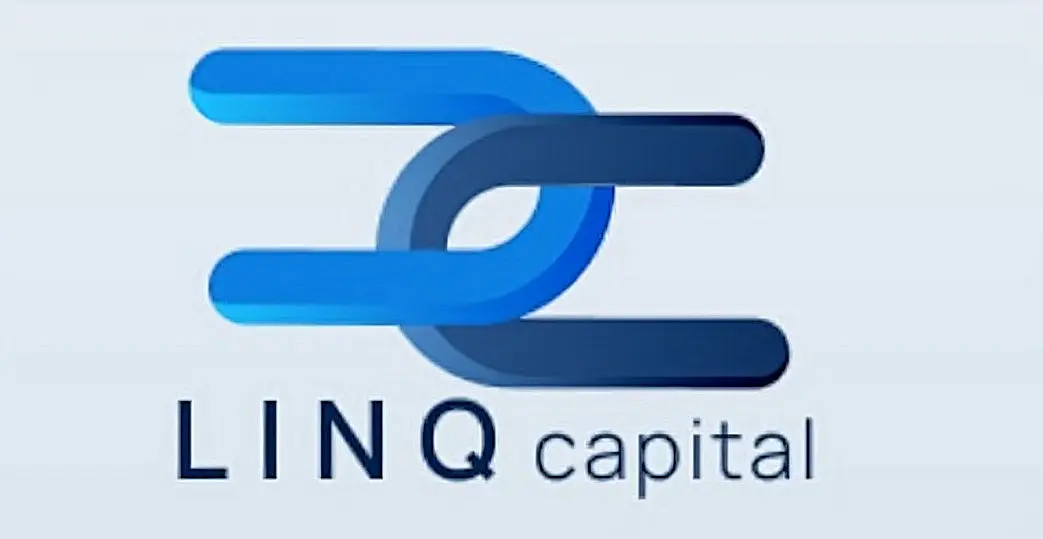 Обзор - LINQ Capital