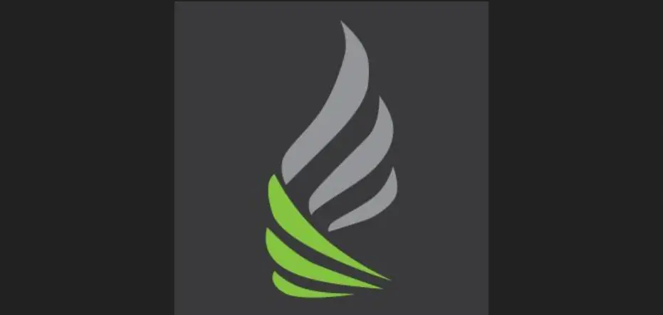 Обзор - Falcon Brokers