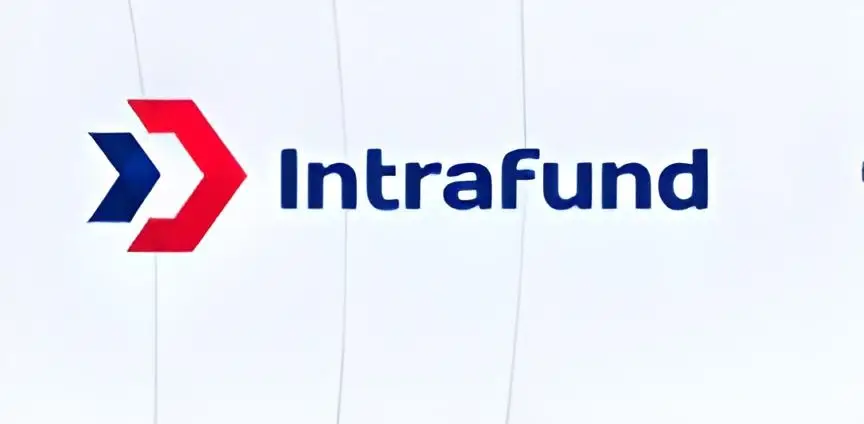 Обзор - Intrafund
