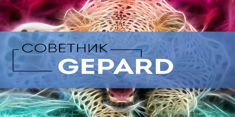 Обзор - Gepard