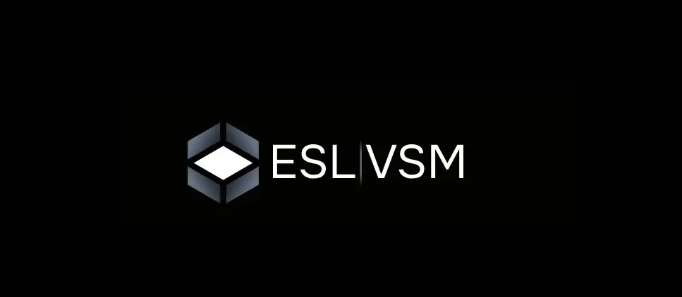 Обзор - ESL VSM