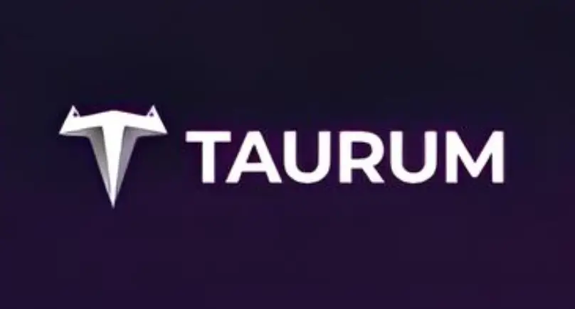 Обзор - Taurum AI