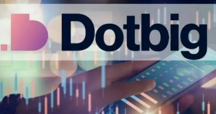 Обзор - dotbig