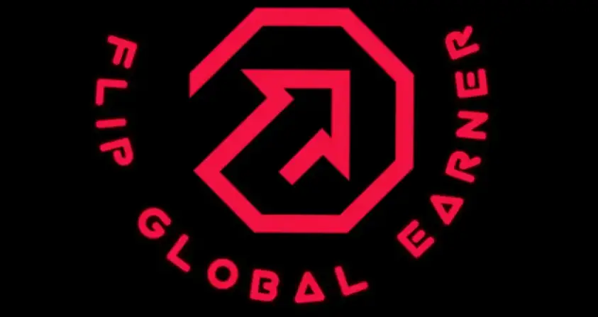 Обзор - Flip Global Earner