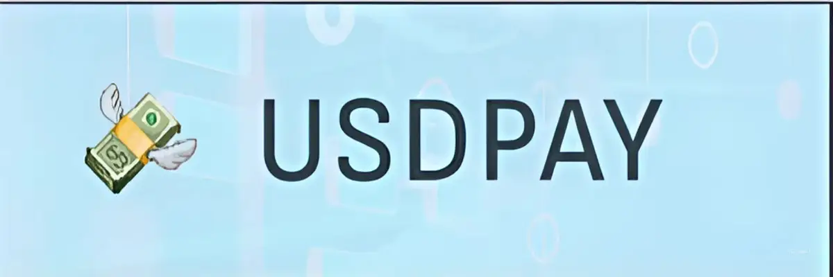 Обзор - Usdpay (usdpay.fun)