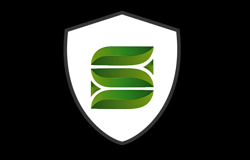 Обзор - Senior Wealth Partners