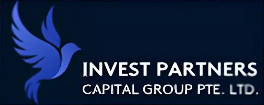 Обзор - Invest Partners Capital Group