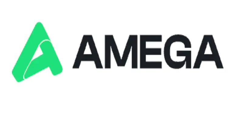 Обзор - Amega Global Ltd