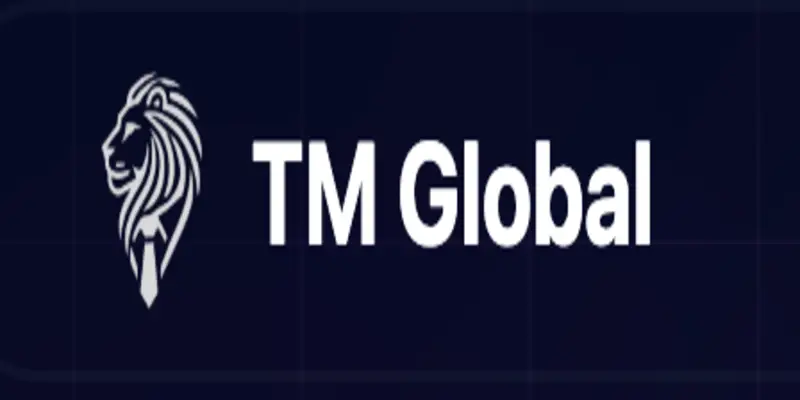 Обзор - TM Global
