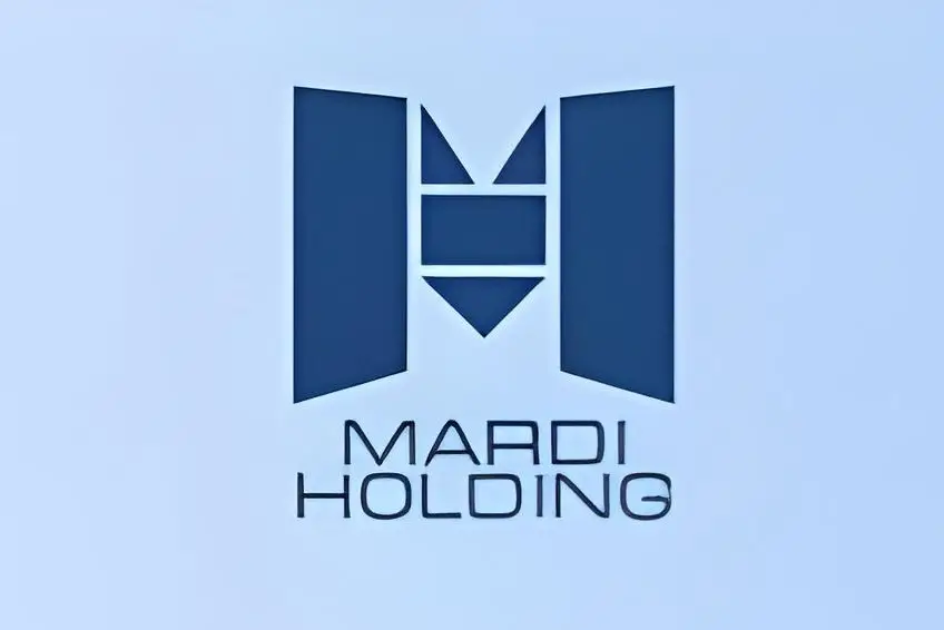 Обзор - Mardi Holding