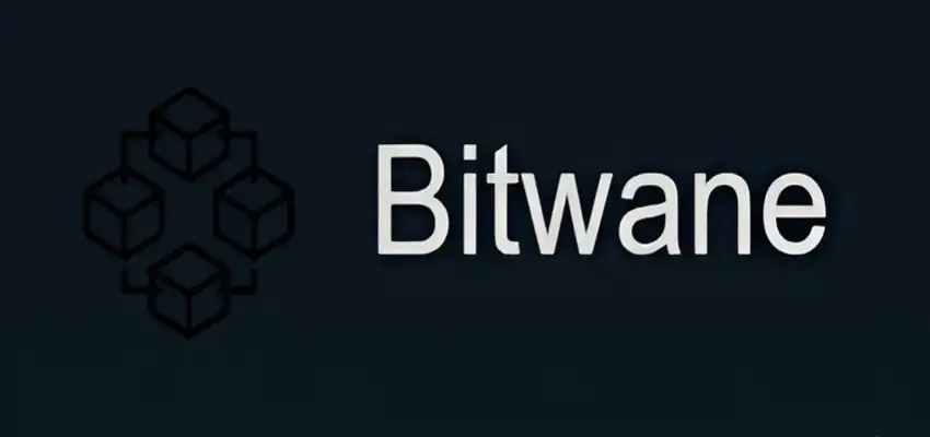 Обзор - Bitwane (bitwane.com)