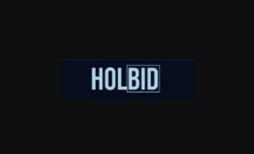 Обзор - Holbid
