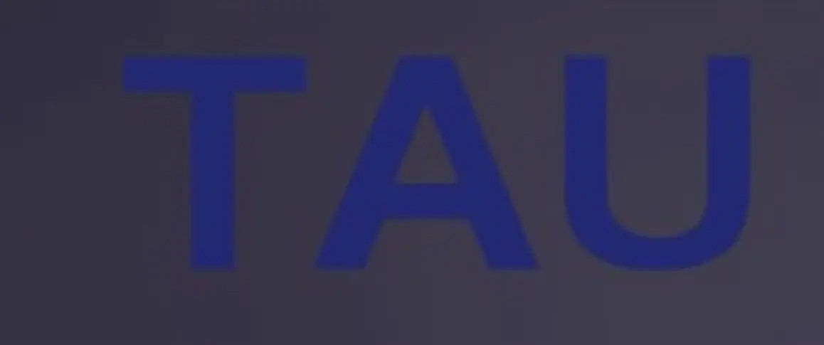 Обзор - TAU Limited