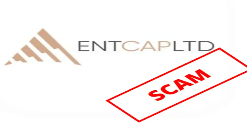 Обзор - Entcap Ltd