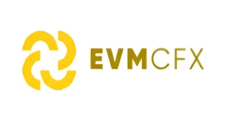 Обзор - EVMcfx