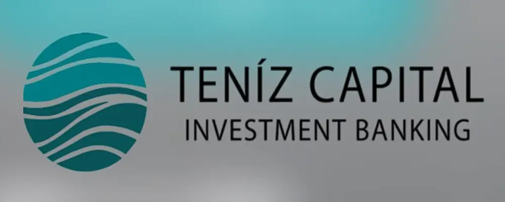 Обзор - Teniz Capital