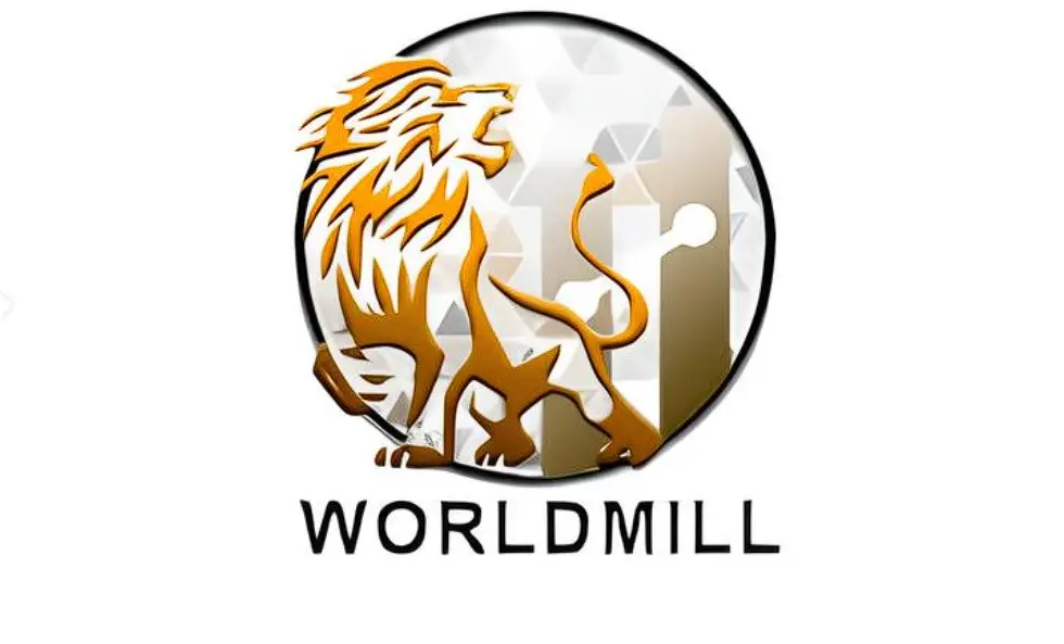 Обзор - WorldMill Limited