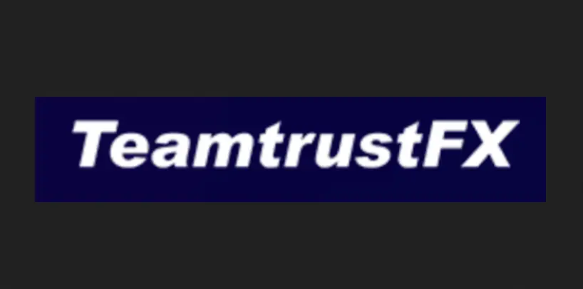 Обзор - TeamtrustFX