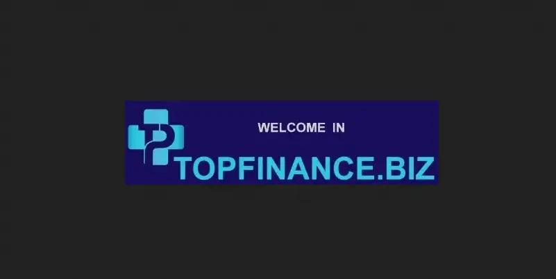 Обзор - Topfinance Biz