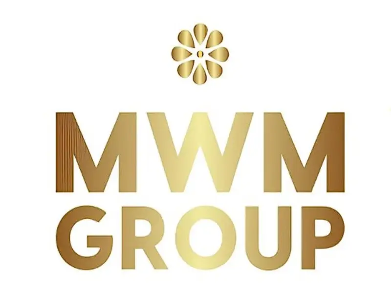 Обзор - MWM-Group