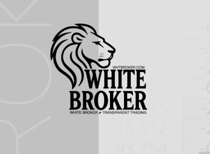 Обзор - White Broker