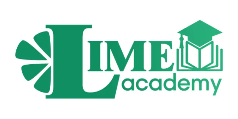 Обзор - Lime Academy