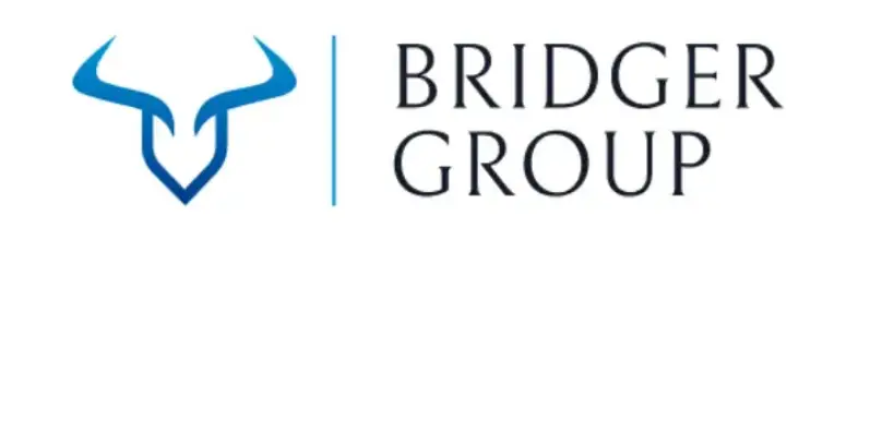 Обзор - Bridger Group