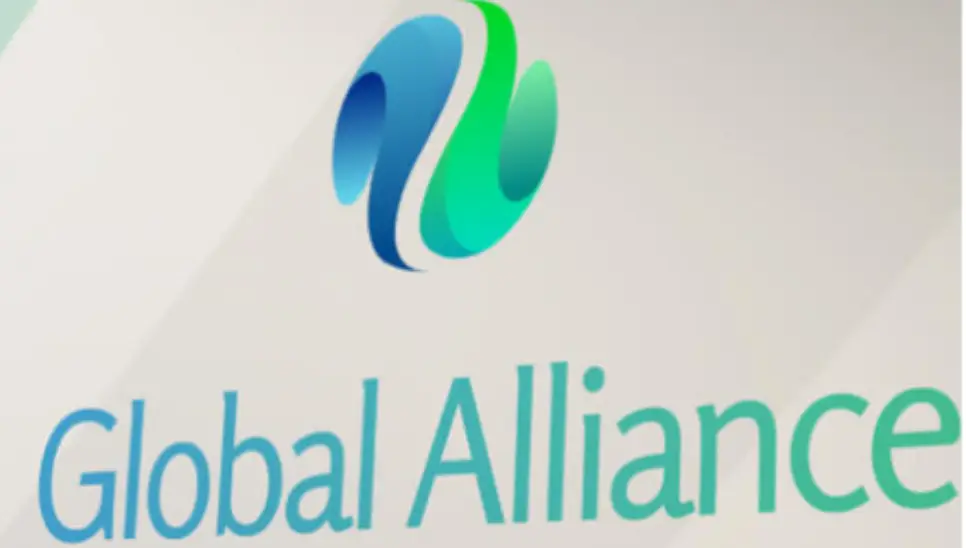 Обзор - Global Alliance Ltd