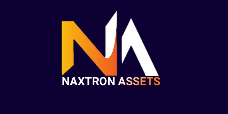 Обзор - NaxtronAssets