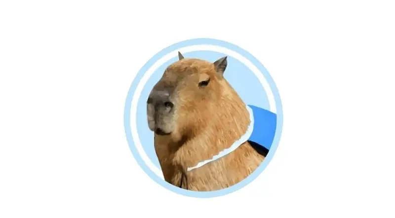 Обзор - Capybara (t.me/getcapybot)