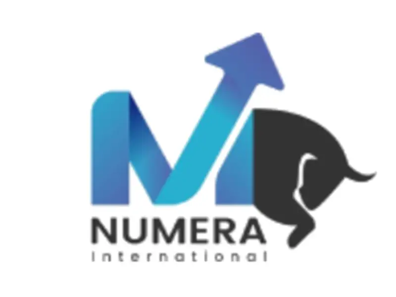 Обзор - Numera International Limited