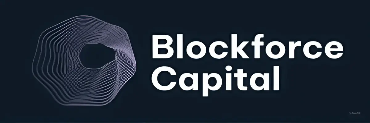 Обзор - BlockForceCapital (blockforcegroup.com)