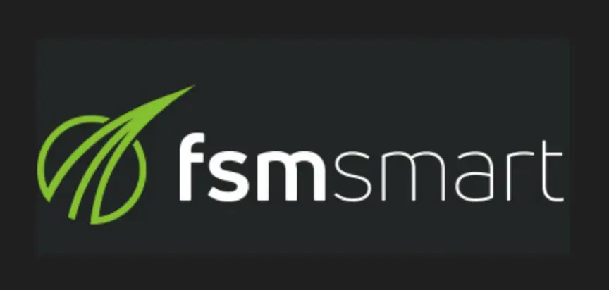 Обзор - FSM Smart