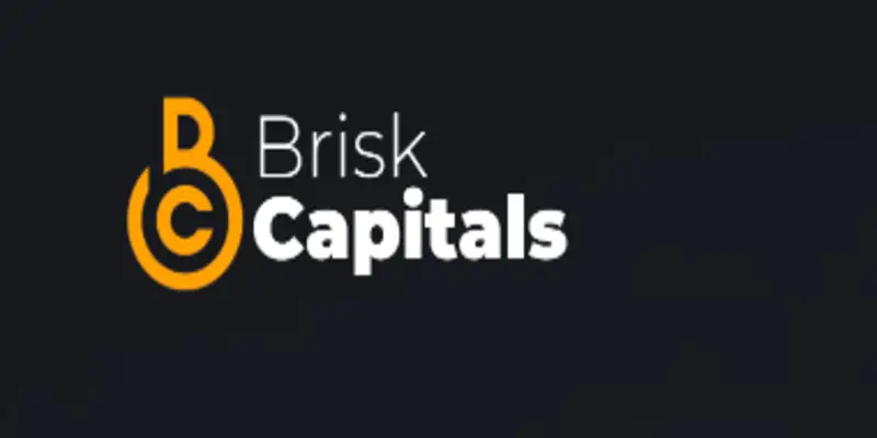 Обзор - Brickscapitals