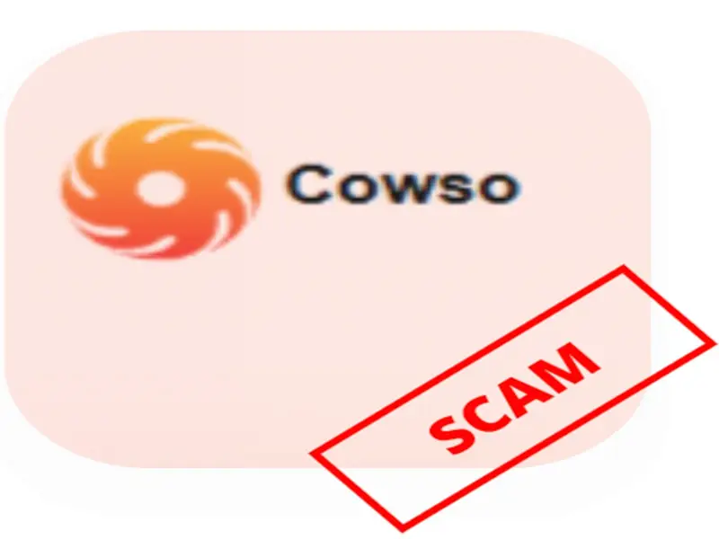 Обзор - Cowso