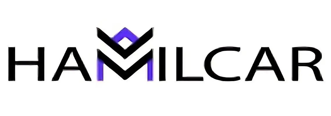 Обзор - Hamilcar Capital