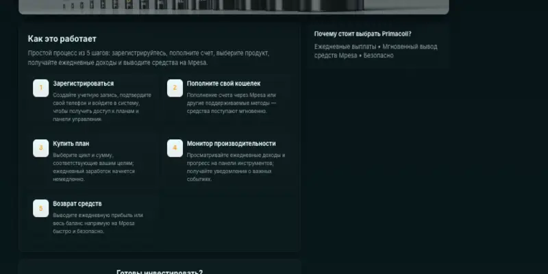 Primacoil Limited инфо о проекте обзор на Primacoil Limited