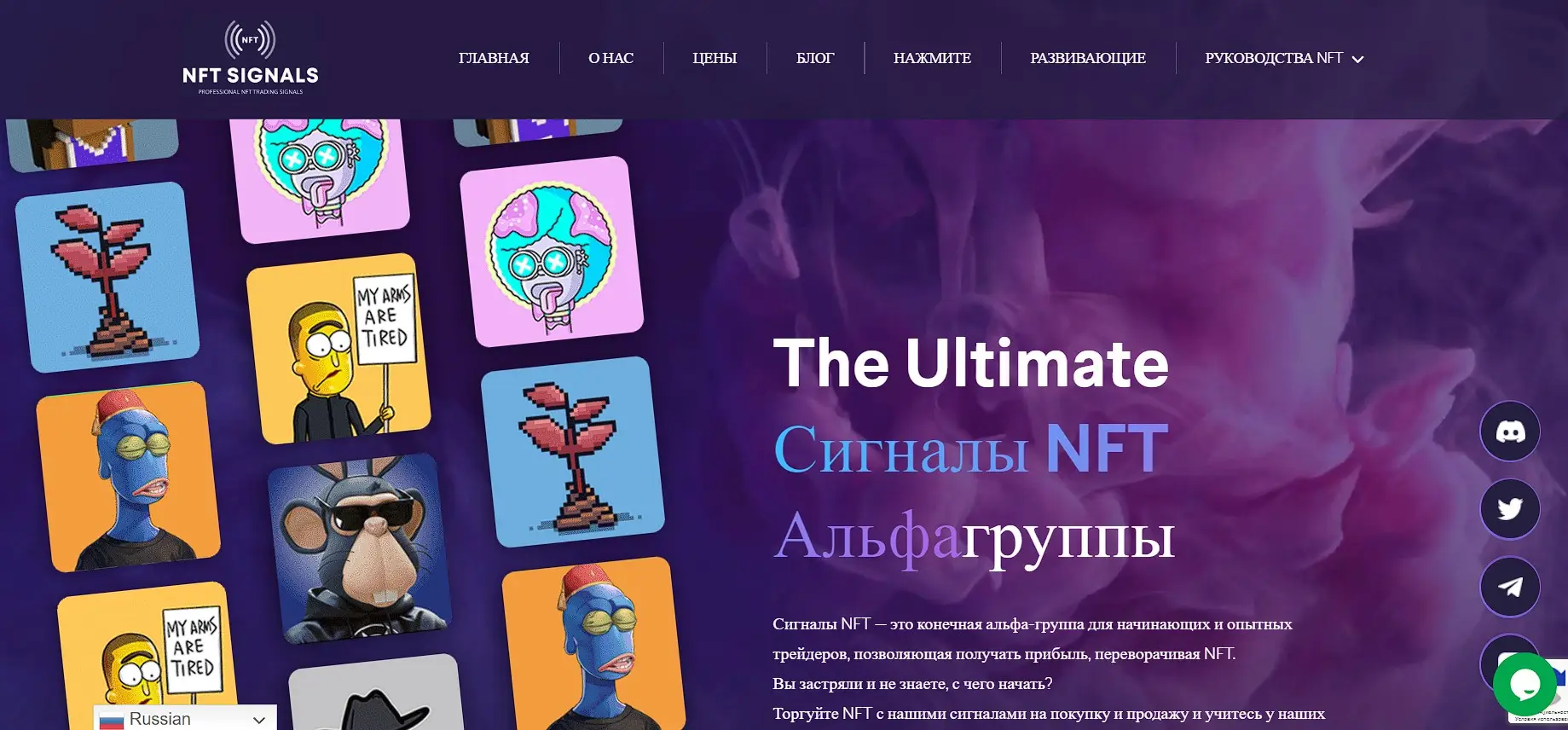Обзор инвестиционной компании NFT Signals