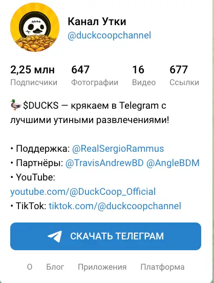 DUCKS обзор условий что известно? DUCKS