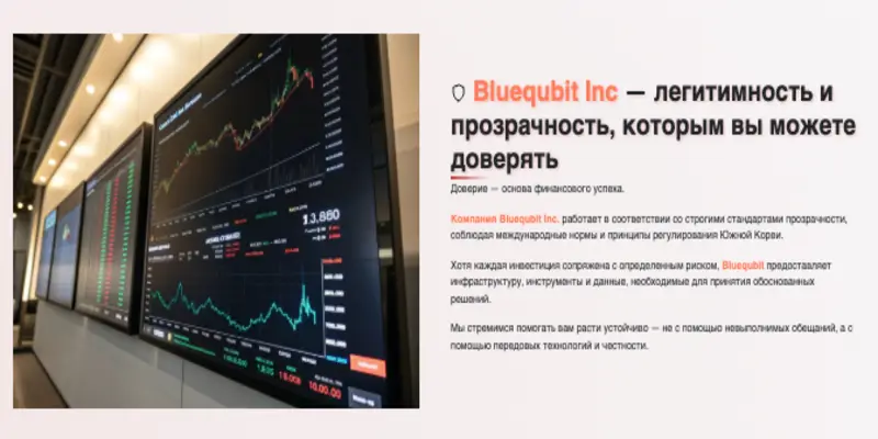 Bluequbit Trading обзор условий что известно? Bluequbit Trading