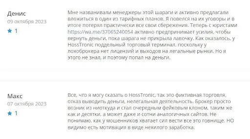 Что предлагает проект hosstronic.com Что предлагает проект hosstronic.com