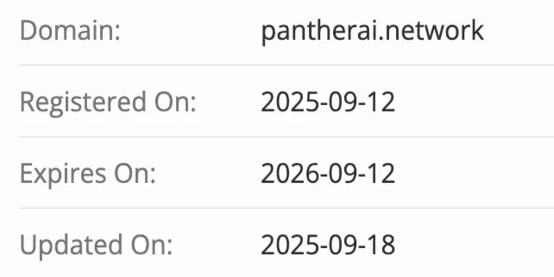 Panther AI домен домен Panther AI
